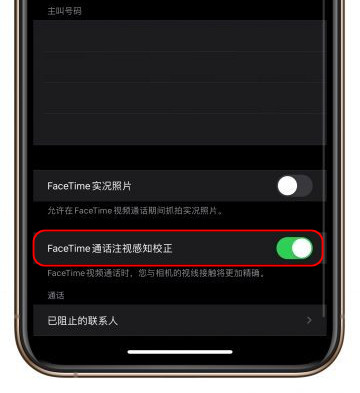 “注视感知”与“FaceTime 通话注视感知校正”有什么区别？