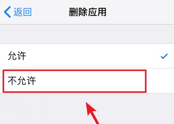 iOS 12 如何禁止删除已下载的应用？