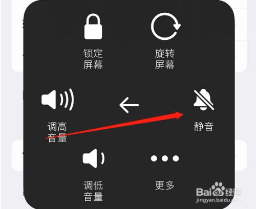 iPhone13静音模式怎么开(9)