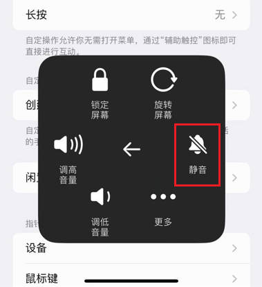 iPhone13静音模式怎么开(8)