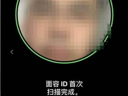 x面容id能打开但不能录入(5)