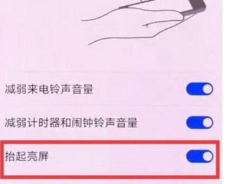 华为畅享9plus抬手亮屏在哪设置