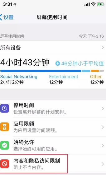 苹果6s访问限制设置方法步骤截图