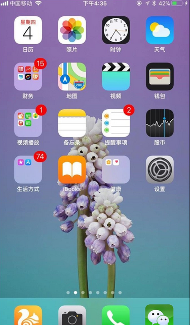 苹果手机给软件授信怎么操作