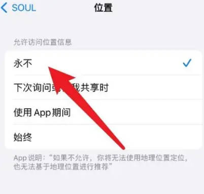 soul如何关闭显示IP地址(4)