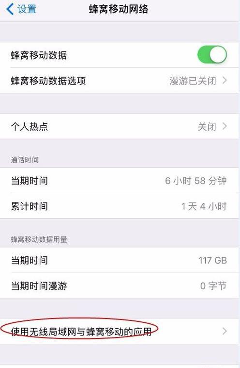 在 iPhone 上登陆 Apple ID 提示“连接到服务器时出现问题”怎么办？