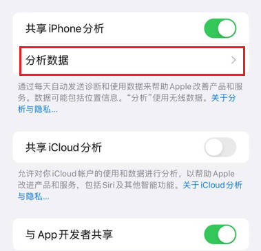 iPhone13查看电池充电次数(4)