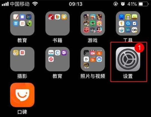 iPhone11pro max查看内存情况的操作流程截图