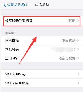 iPhoneXR中设置双卡标签的详细步骤截图